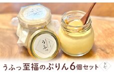 [№5258-0645]「うふっ」至福のぷりん6個セット