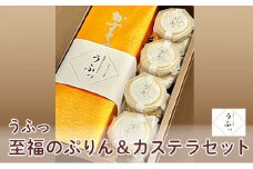 [№5258-0647]「うふっ」至福のぷりん＆カステラセット
