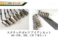 [№5258-7371]0679ふるさと納税限定仕様！スクラッチゴルフ　アイアンセット ＃6～PW、SW、LW　7本セット　NS-850（R）
