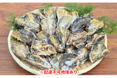 [№5258-0684]定期便【1月より3ヵ月連続お届け】旬の牡蠣を食べ比べ！ 姫路産 殻付き真牡蠣（加熱用）約4kg／カキ かき 貝類 兵庫県 特産品 1年牡蠣
