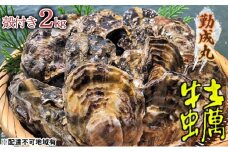 [№5258-0794]【2026年1月より順次出荷予定勤成丸の牡蠣 殻付き牡蠣 2.0kg 魚介類 魚貝類 生牡蠣 海の幸 海鮮 1年牡蠣 つまみ お酒のあて 一品料理 オイスター