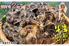 [№5258-0794]【2026年1月より順次出荷予定勤成丸の牡蠣 殻付き牡蠣 2.0kg 魚介類 魚貝類 生牡蠣 海の幸 海鮮 1年牡蠣 つまみ お酒のあて 一品料理 オイスター