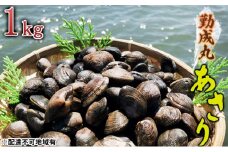 [№5258-0796]【2026年1月より順次出荷予定勤成丸のあさり 1.0kg 魚貝類 海の幸 酒蒸し アサリご飯 パスタ 料理 食材 みそ汁の具 冷蔵便 食べ物 食品