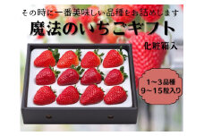[№5258-0906]魔法のいちごギフト化粧箱入り