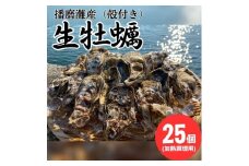 [№5258-0923]播磨灘産　殻付かき（加熱調理用） 25個 【 国産 牡蠣 かき 殻付き 加熱調理用 焼き牡蠣 蒸し牡蠣 人気 】