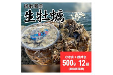 [№5258-0924]播磨灘産　生かきセット（加熱調理用）【 国産 牡蠣 かき 殻付き 加熱調理用 焼き牡蠣 蒸し牡蠣 人気 】