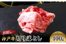 [№5258-1009]【お試し用】【神戸牛】切り落とし　400g(200g×2P)