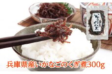 [№5258-1005]兵庫県産 いかなごのくぎ煮 300g