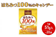 [№5258-1006]はちみつ100％のキャンデー [ 飴 キャンンデー 蜂蜜 のど飴 キャンディー 業務用 大容量 大量 ]