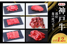[№5258-1050]【神戸牛】部位食べ比べセット　計約1.2kg　しゃぶしゃぶ・ステーキ・焼肉・煮込み