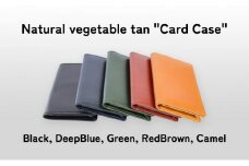 [№5258-8092]1100 Card Case Green