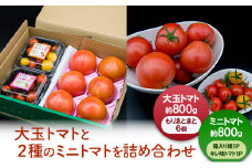 [№5258-1235]【11月中旬以降順次出荷】ミニセット（もりゑ＆ミニ2種）[ 大玉 とまと ミニ トマト 高糖度 産地直送 野菜 ]