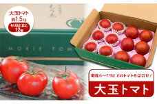 [№5258-1236]【11月中旬以降順次出荷】もりゑとまと　詰合せ [ 大玉 トマト とまと 高糖度 産地直送 野菜 ]