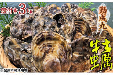 [№5258-1247]【2026年1月より順次出荷予定勤成丸の牡蠣 殻付き牡蠣 3.0kg [ 生牡蠣 かき カキ 殻付 加熱調理用 真牡蠣 国産 ] 兵庫県 姫路市