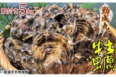 [№5258-1248]【2026年1月より順次出荷予定勤成丸の牡蠣 殻付き牡蠣 5.0kg [ 生牡蠣 かき カキ 殻付 加熱調理用 真牡蠣 国産 ] 兵庫県 姫路市