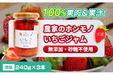 [№5258-1461]【100%果肉＆果汁で作った！】農家のホンモノ いちごジャム 240g 3本セット｜五つ星ひょうご認定 国産 砂糖不使用  八百ちゃんいちご