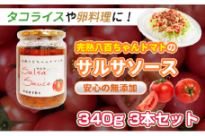 [№5258-1530]【タコライスや卵料理に！】サルサソース 340g 3本セット｜国産 姫路産 八百ちゃんトマト 着色料・保存料不使用