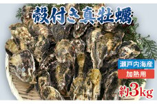 [№5258-0905]【2026年1月中旬以降順次発送予定】旬にお届け！姫路産　殻付き真牡蠣（加熱用）約３kg ／ カキ かき 貝類 兵庫県 特産品 海鮮 海の幸 加熱用牡蠣 焼き牡蠣 酒蒸し バーベキュー BBQ 