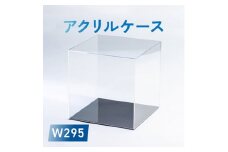 アクリルケース　W295【1239601】