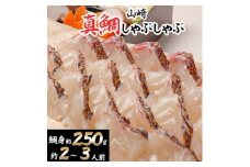 山崎真鯛しゃぶしゃぶ約2～3人前　〆の蓮根麺つき【1228931】