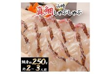 山崎真鯛しゃぶしゃぶ約2～3人前　〆の蓮根麺つき【1228931】