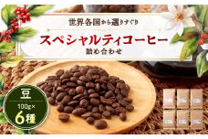 スペシャルティコーヒー100g×6種詰め合わせ(豆)【1357237】