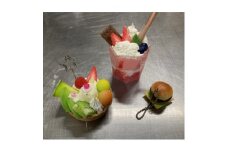食品サンプル作りチケット【1395542】
