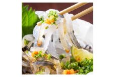 ＜9月30日受付終了＞とらふぐ料理　玄品 阪神尼崎/玄品 塚口　お食事券[9,000円分]【1406372】