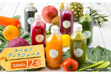 コールドプレスジュース2デイクレンズラージサイズ(500ml×12本セット)冷蔵品【1511549】