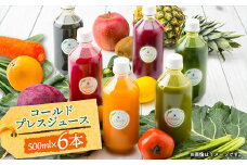 コールドプレスジュース1デイクレンズラージサイズ(500ml×6本)冷蔵品【1511548】