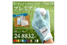 オーダーメイドゴルフグローブお仕立券＜プレミアム＞ベースカラー:スカイブルー【1516046】