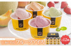 セゾンファクトリー　日本の名産フルーツアイス　＜AH-SJ＞【1528632】