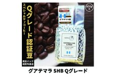 コーヒー豆 スペシャリティ Qグレード認証豆 グアテマラ SHB 中深煎り 500g【1619511】