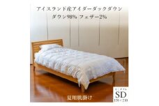 逸品 アイスランド産アイダーダック ダウン98% 夏用肌掛け羽毛ふとん セミダブルサイズ【1457435】
