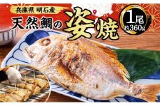 明石産 天然鯛の姿焼①