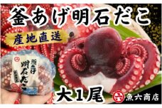 ほんまにうまい　釜あげ明石だこ 大 1尾