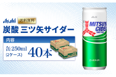 炭酸 三ツ矢サイダー 250ml × 40本 (20本× 2ケース ) 缶 飲料 炭酸飲料 飲み物 ドリンク ジュース 缶ジュース 三ツ矢 サイダー まとめ買い 箱 買い ケース ミツヤサイダー 送料無料 アサヒ飲料 兵庫 兵庫県 明石市