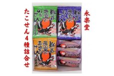 永楽堂たこせん4種詰合せ