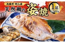 明石産 天然鯛の姿焼③