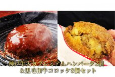 神戸牛入りﾌﾟﾚﾐｱﾑﾊﾝﾊﾞｰｸﾞ3個&黒毛和牛ｺﾛｯｹ8個ｾｯﾄ