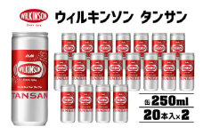 炭酸水 ウィルキンソン タンサン 250ml （20本入×2） ウィルキンソン炭酸 缶 箱 炭酸 水 炭酸飲料 ドリンク 飲料 ソーダ水 災害 防災 備蓄 ローリングストック 非常用 備蓄用 常温 常温保存 兵庫 兵庫県 明石市 明石