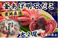 ほんまにうまい　釜あげ明石だこ 大 2尾