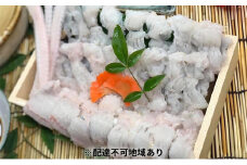 肉厚！ふっくら！厳選でん助穴子しゃぶしゃぶ鍋セット（4～5人前）［穴子 あなご アナゴ 鍋 しゃぶしゃぶ］