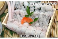 肉厚！ふっくら！厳選でん助穴子しゃぶしゃぶ鍋セット（2～3人前）[ 穴子 あなご アナゴ 鍋 しゃぶしゃぶ ]