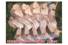 明石・魚の棚・魚秀【贅沢な厚切り味噌漬】（すずき・さわら・鯛）各4切