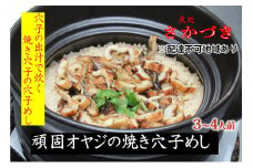 頑固オヤジのこだわり焼き穴子の穴子飯 3～4人前