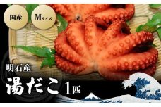 明石産 湯だこ 1匹 Mサイズ[ 明石たこ ボイルたこ 蛸 ]