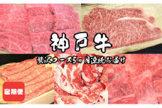 定期便 神戸牛 贅沢コース 5ヵ月連続お届け[ 肉 食べ比べ すき焼き ステーキ 焼肉 切落し 牛肉 ]