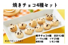 焼きチョコ 4種セット[ スイーツ 洋菓子 焼菓子 チョコレート ショコラ 支援 社会貢献 グルテンフリー ]