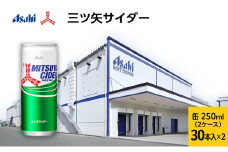 炭酸 三ツ矢サイダー 250ml × 60本 (30本× 2ケース ) 缶 飲料 炭酸飲料 飲み物 ドリンク ジュース 缶ジュース 三ツ矢 サイダー まとめ買い 箱 買い ケース ミツヤサイダー 送料無料 アサヒ飲料 兵庫 兵庫県 明石市